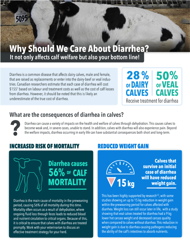 DiarrheaFactSheet